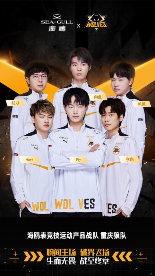 Humanoid 加入了 Team Vitality